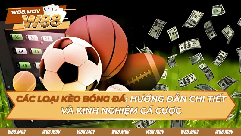 Hiểu Rõ Các Loại Kèo Bóng Đá – Bí Kíp Cá Cược Không Lo Thua Lỗ