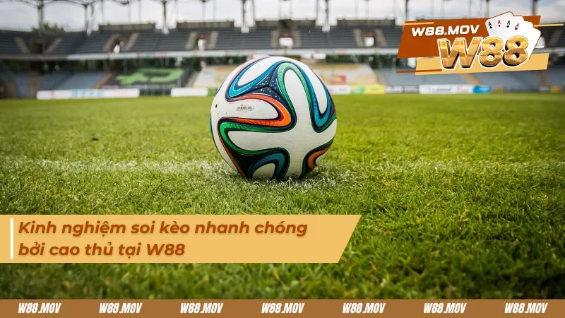 Mẹo đặt cược hiệu quả đối với kèo cược châu Á