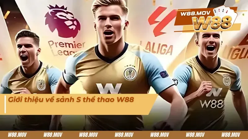 Sơ lược về sảnh cược S thể thao